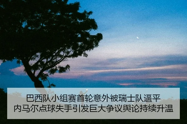 ba-xi-dui-xiao-zu-sai-shou-lun-yi-wai-bei-rui-shi-dui-bi-ping-nei-ma-er-dian-qiu-shi-shou-yin-fa-ju-da-zheng-yi-yu-lun-2-346.jpg